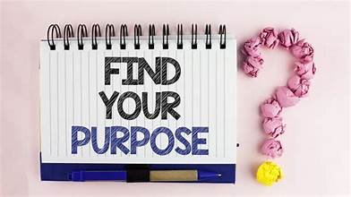 Find your purpose in life ?